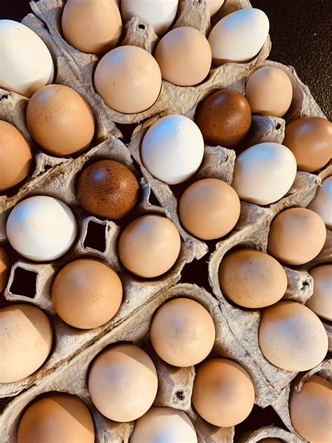 Eggs near me - Organic. These hens enjoy a healthy diet void of any antibiotics, chemical pesticides or GMOs. Research shows that USDA Organic eggs contain higher levels of antioxidants and other nutrients, like omega-3 and CLA essential fatty acids. They also keep the soil free of toxic herbicides and pesticides, which is better for you and the environment.